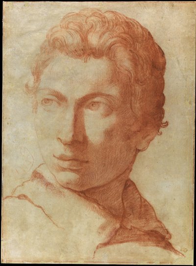 Head of a Young Man by Alessandro Tiarini